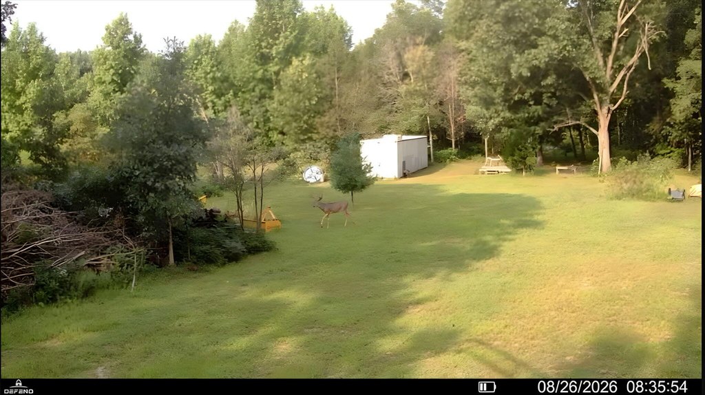 Picture 5