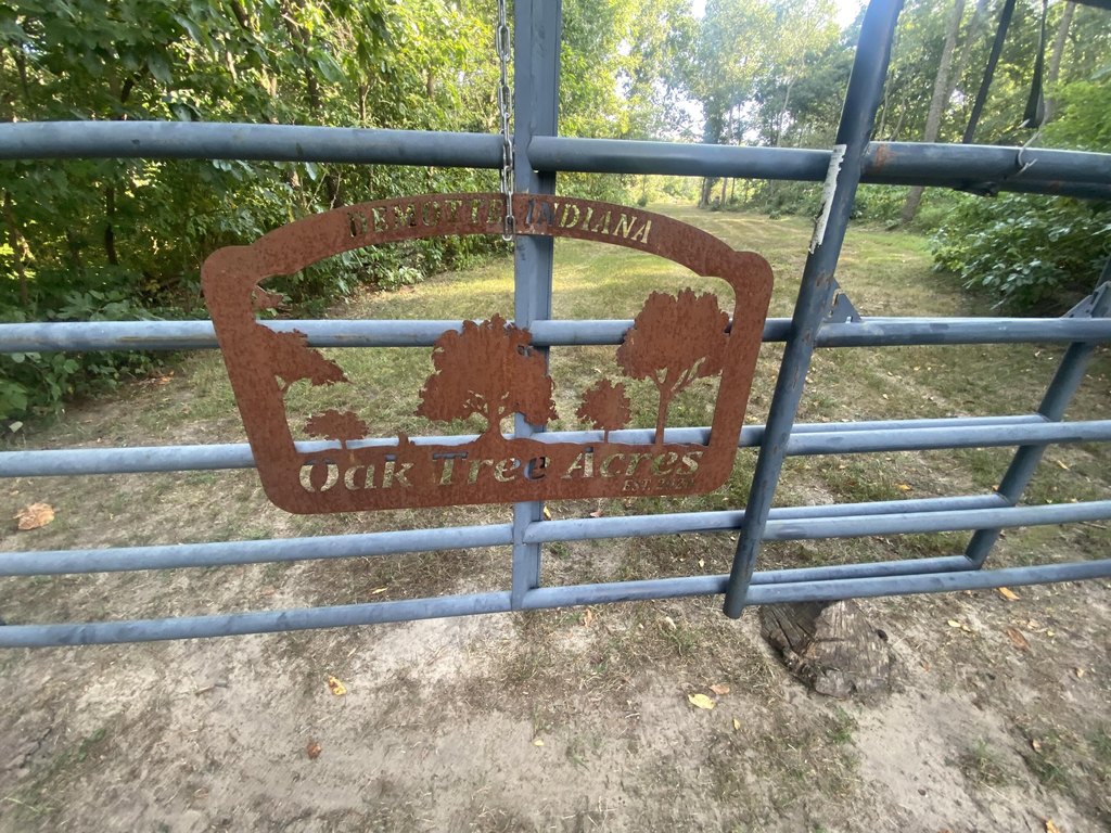 Picture 17