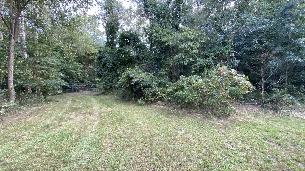 Picture 14