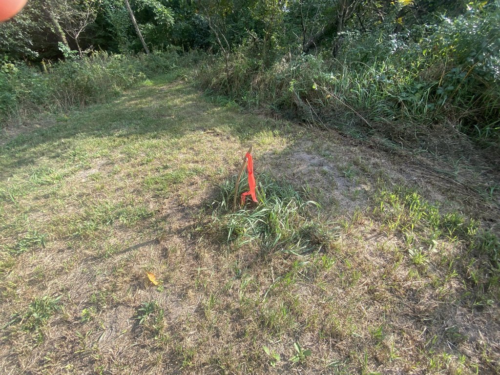 Picture 24