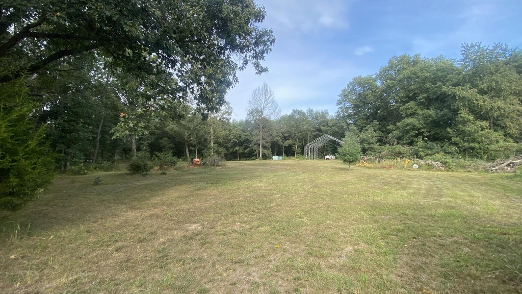 Picture 39