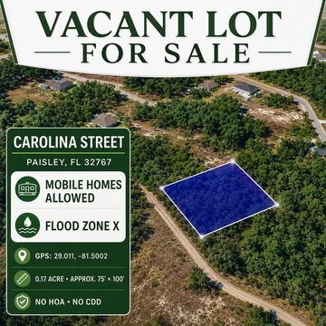 Land, PAISLEY, FL