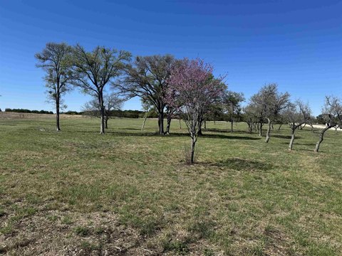 Cleared 5-Acre Burnet Oaks Land