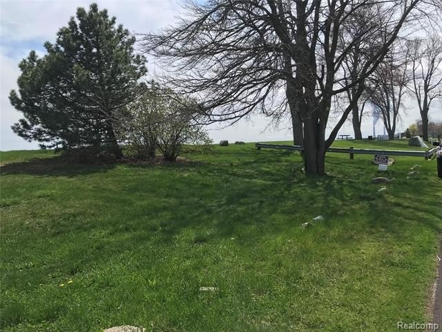 Picture 17