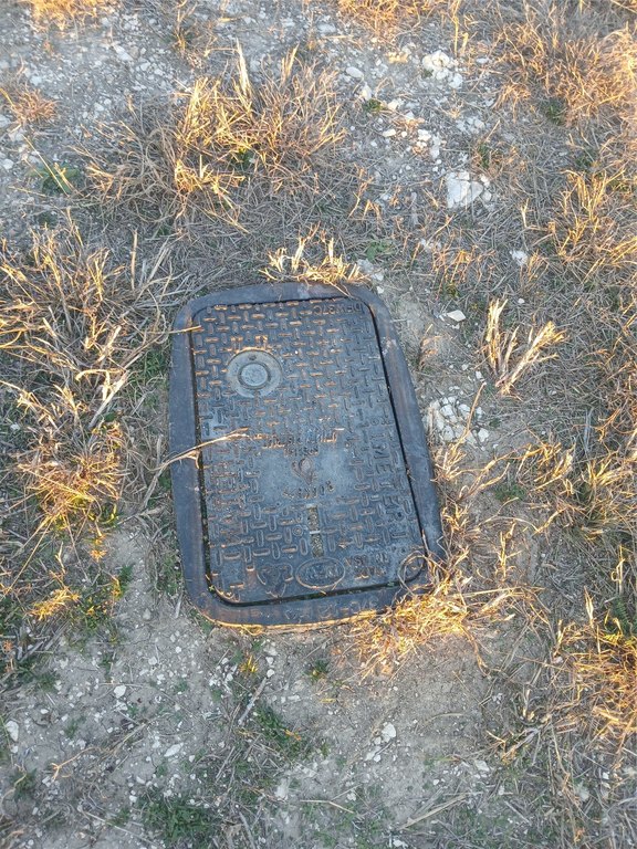 Picture 3