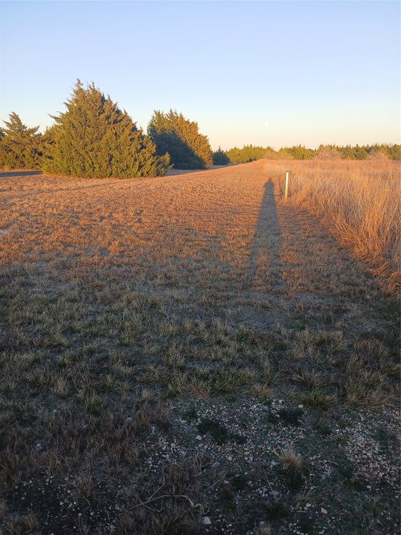 Picture 9