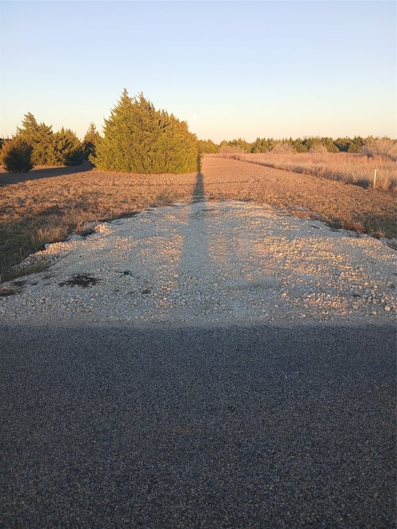 Picture 4