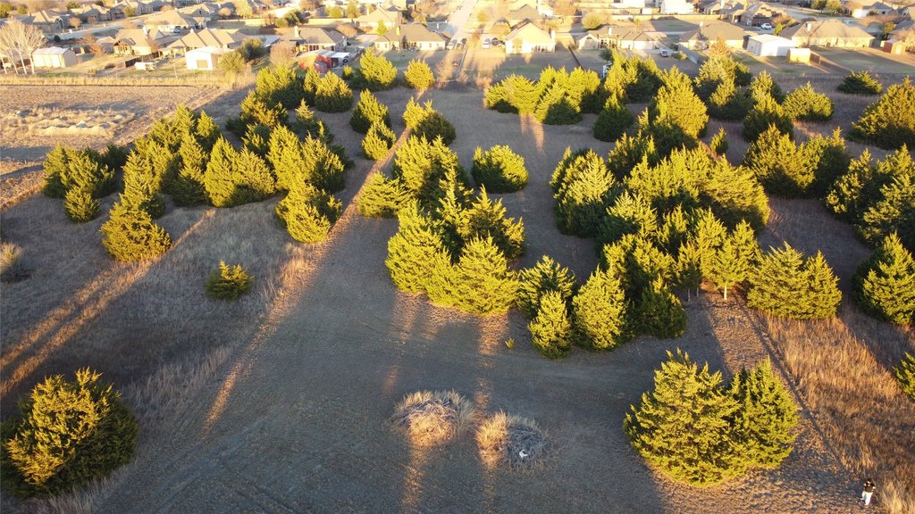 Picture 13