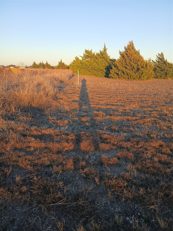 Picture 8