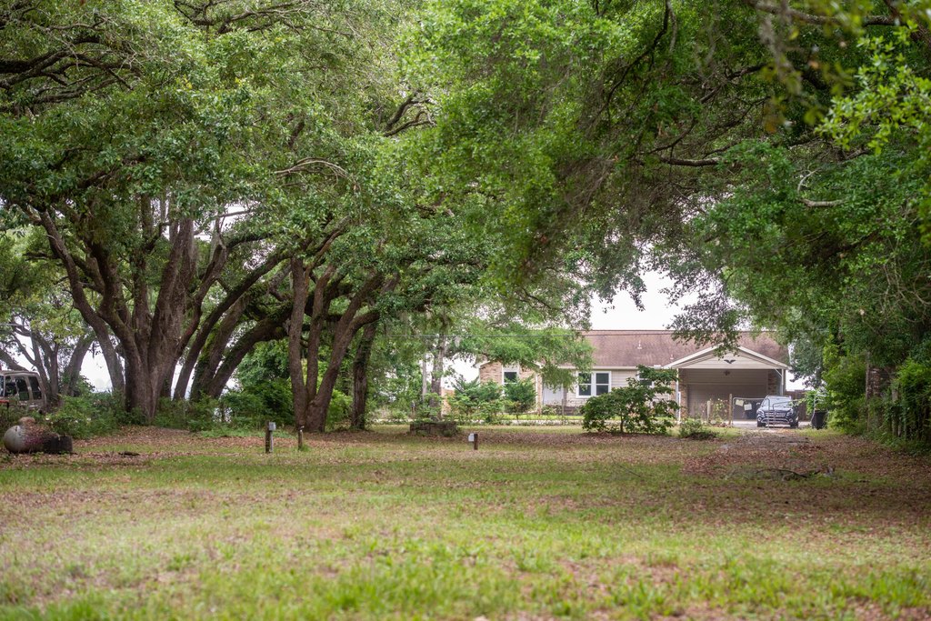 Picture 21