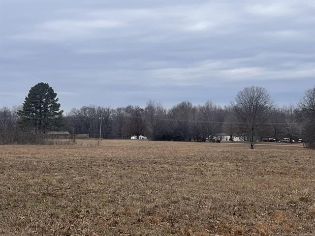 Picture 9