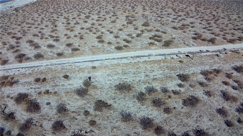 Picture 7