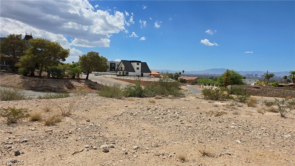 Picture 25