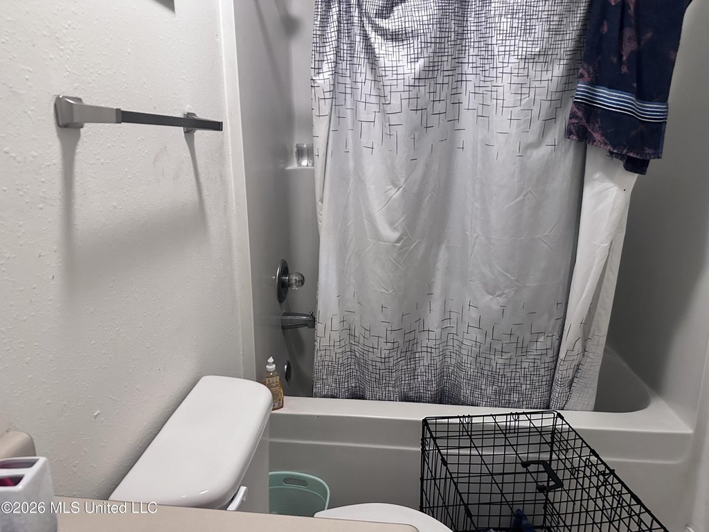 Picture 21