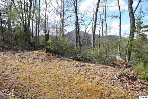 Pigeon Forge Acreage Opportunity