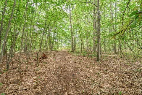 Land, Evart, MI