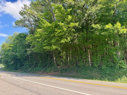 Unrestricted Wooded Recreation Land