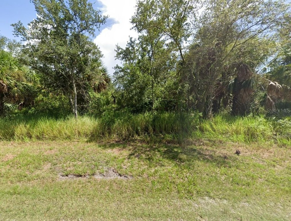 Picture 3