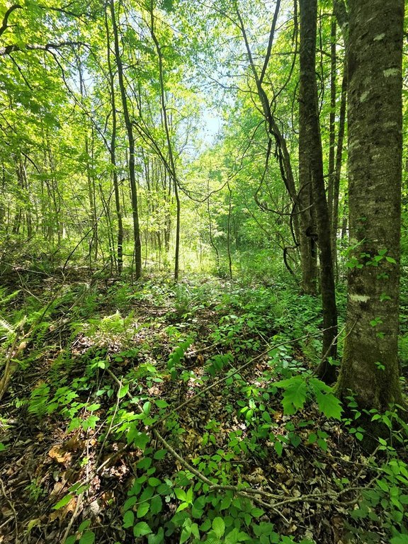 Picture 7