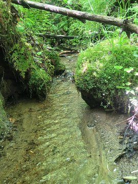 Land with Creeks and Build Sites