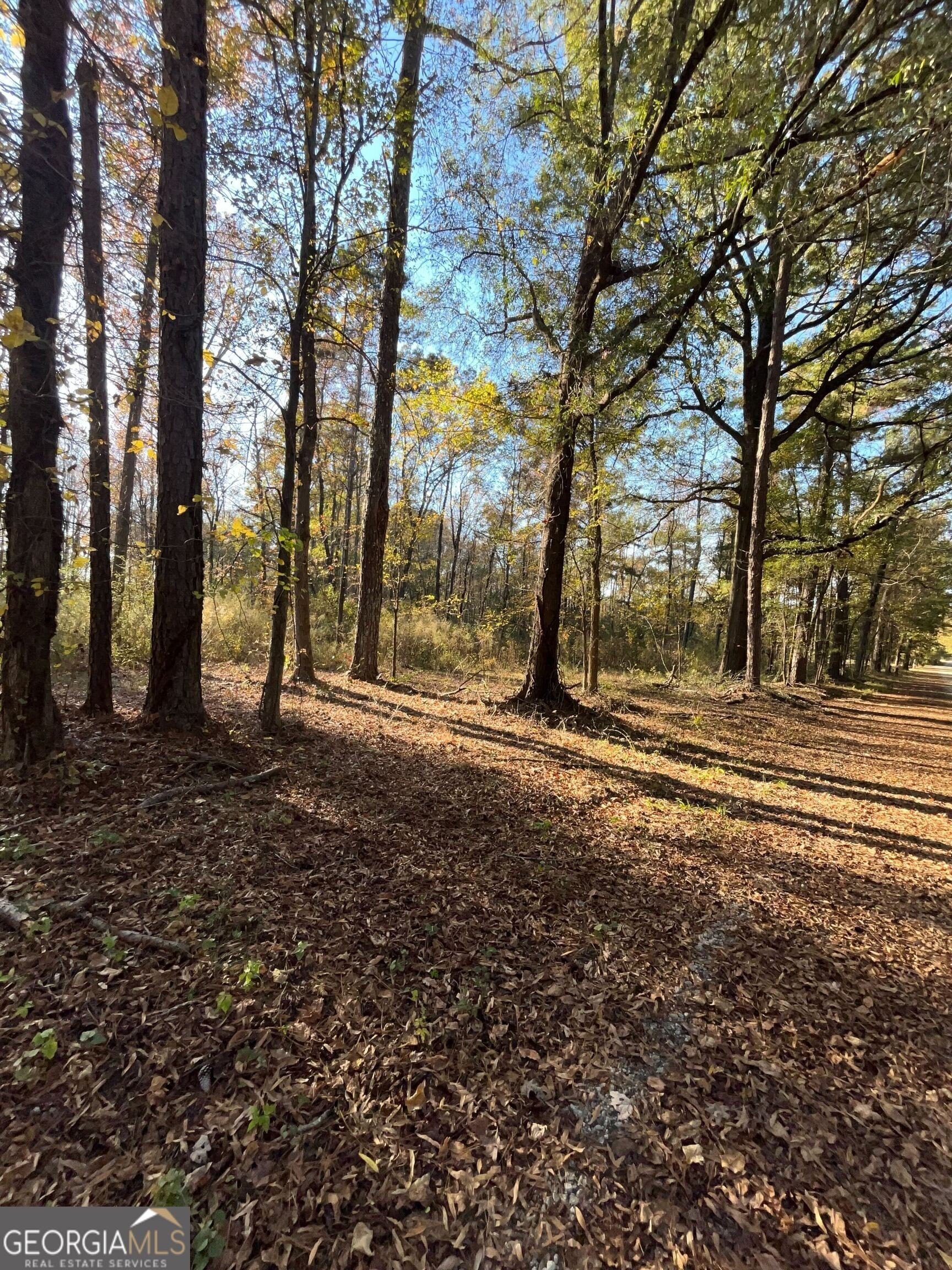 Land For Sale in Madison