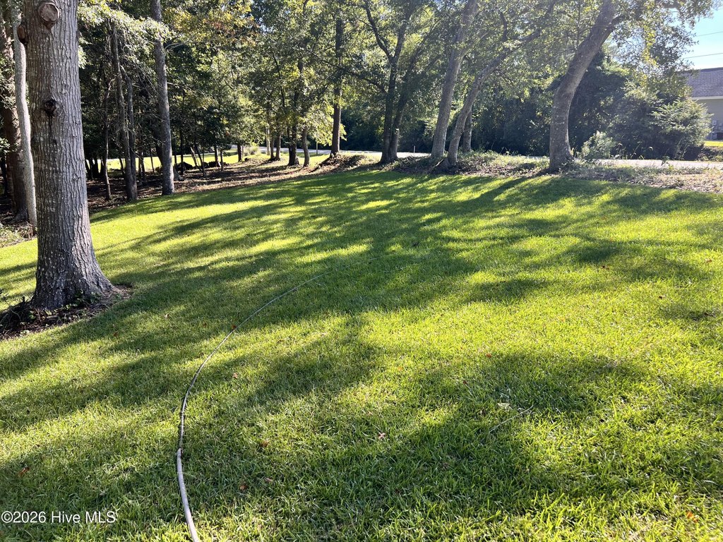 Picture 4