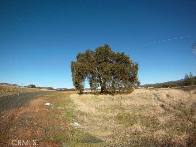 Picture 20