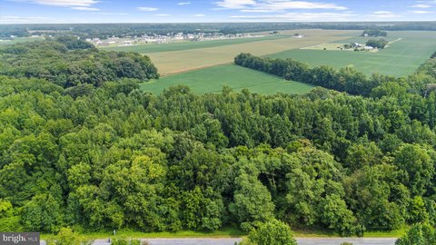 3.5-Acre Wooded Lot in Ridgely