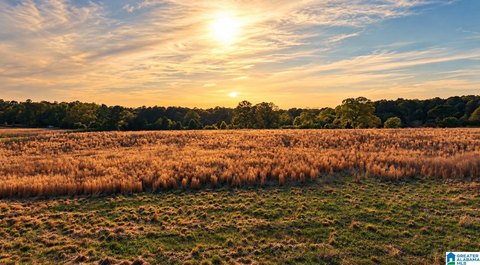 LAND/LOTS, TALLADEGA, AL