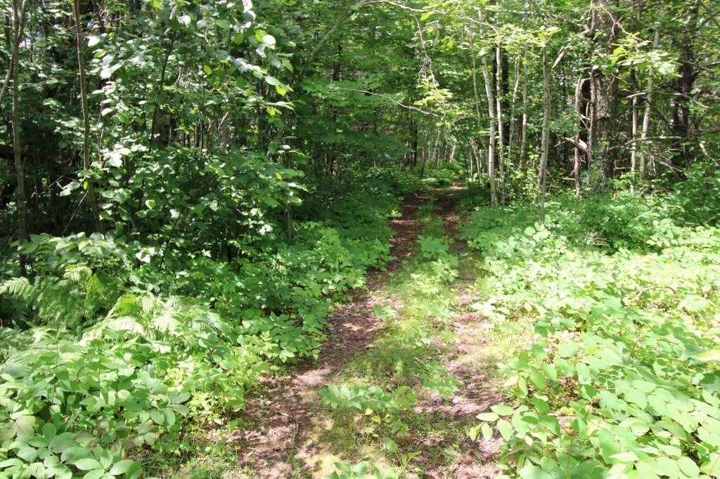 Picture 5