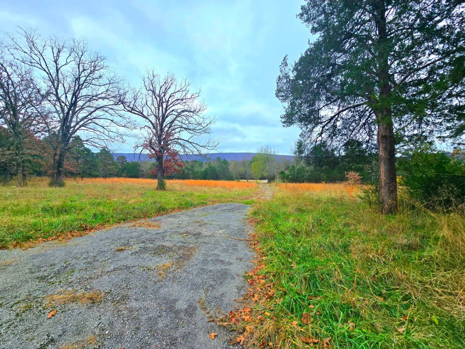 Scenic Land Bordering National Forest