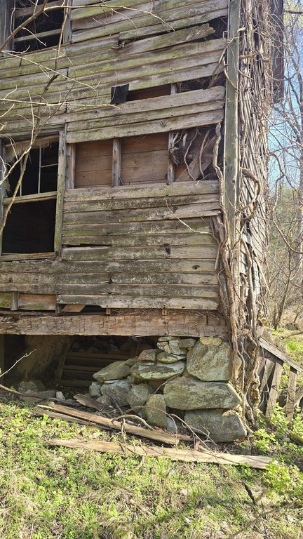 Picture 5