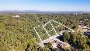 Town Center Commercial Land