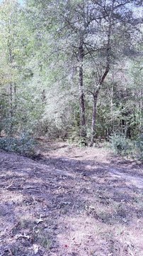 Land, Wiergate, TX