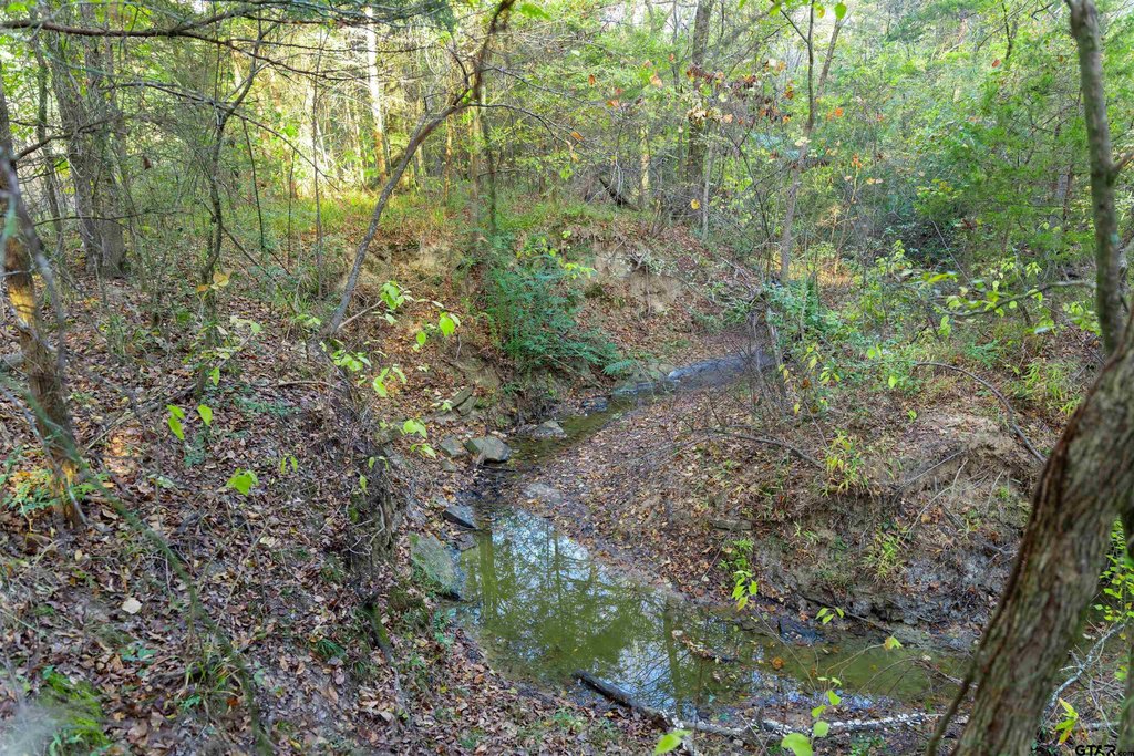 Picture 16