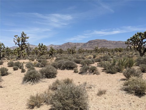 Meadview Land in Joshua Forest