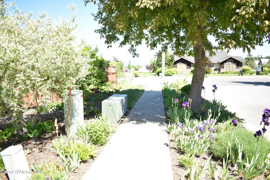 Picture 11