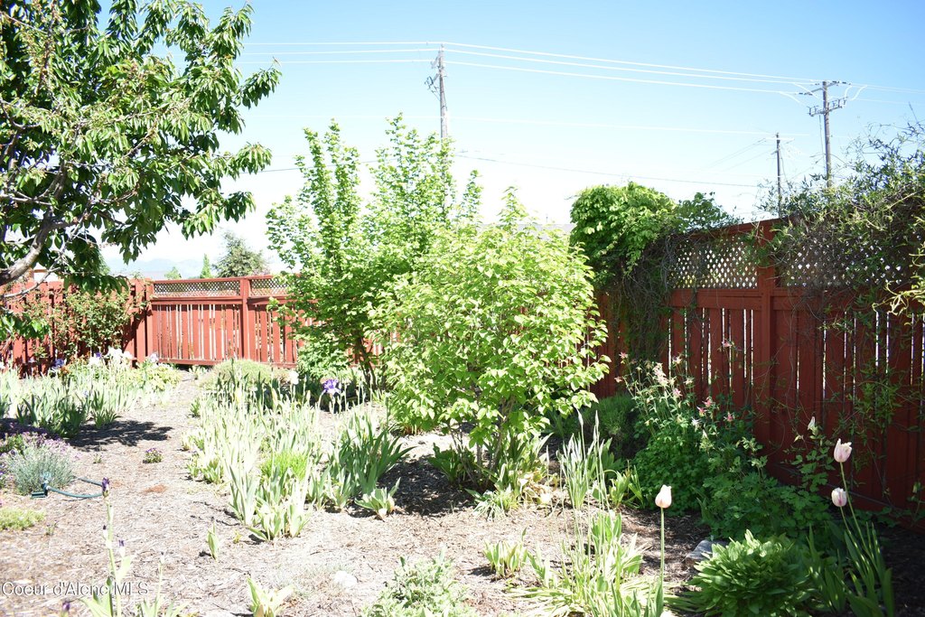 Picture 10