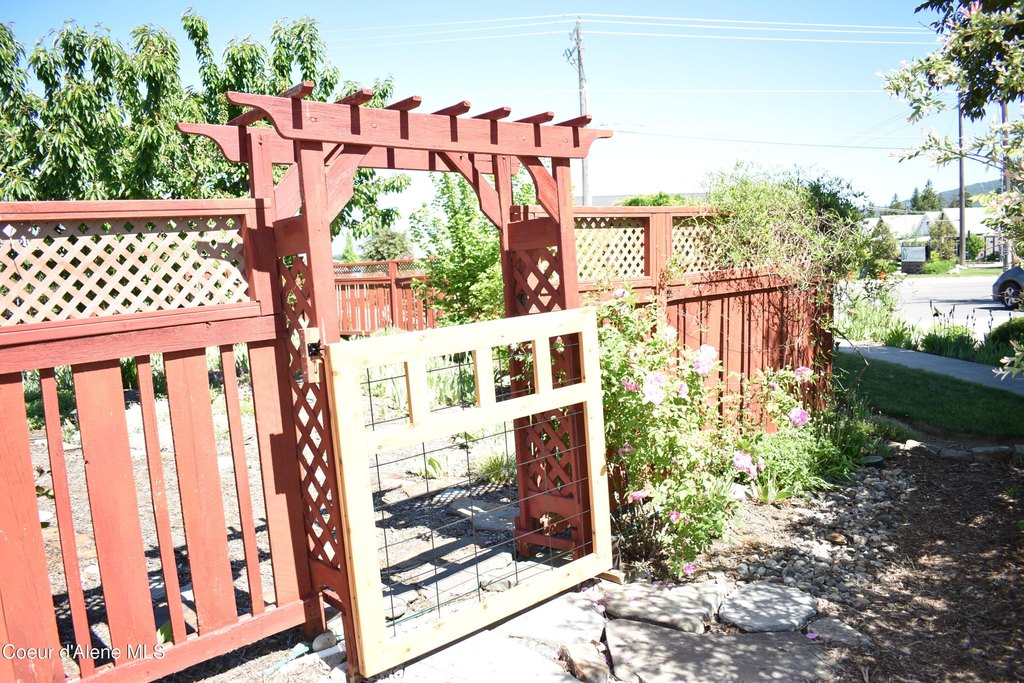 Picture 7