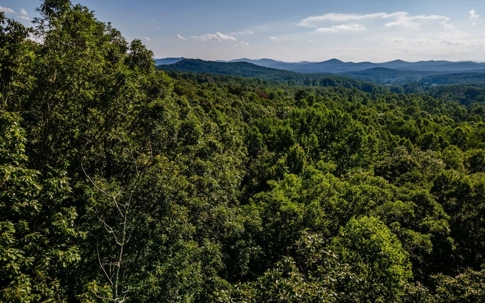 Blairsville, GA Vacant Lot