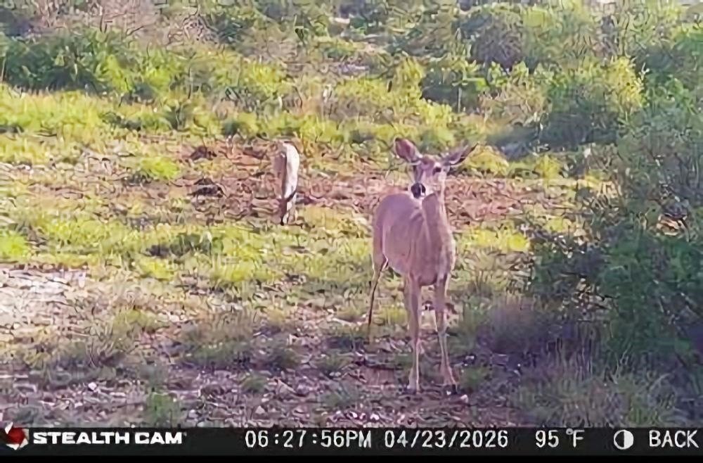 Picture 11