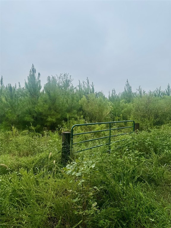 Picture 6