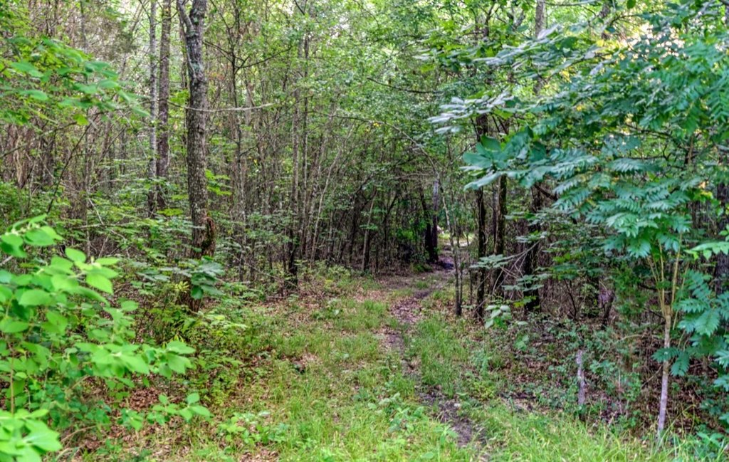 Picture 18