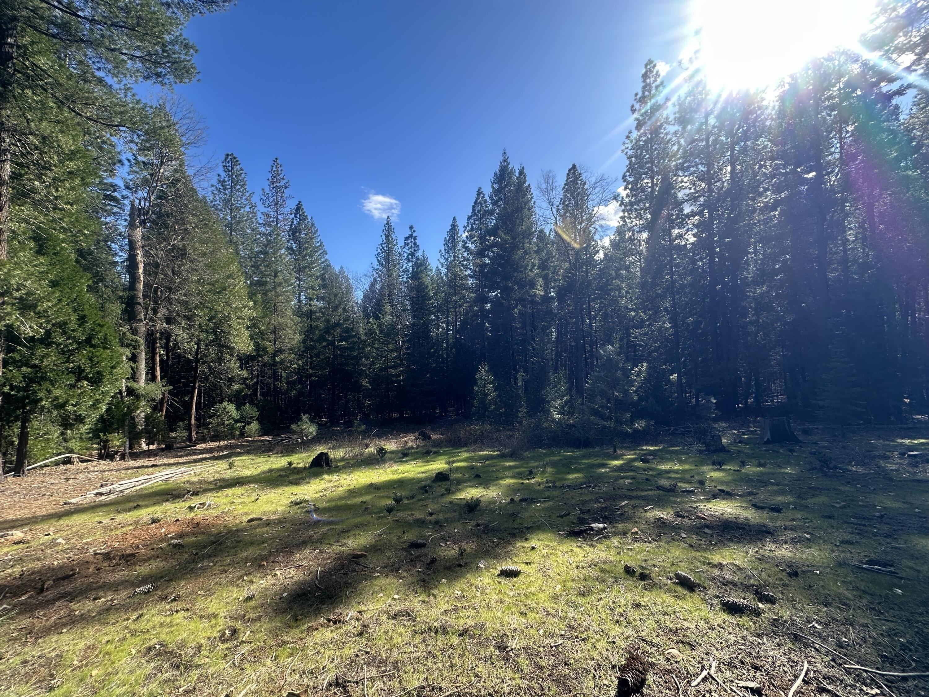 Oak Run 5-Acre Land Parcel