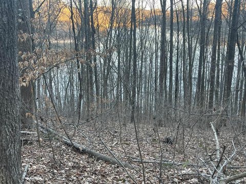 Lakeview Land Near Center Hill