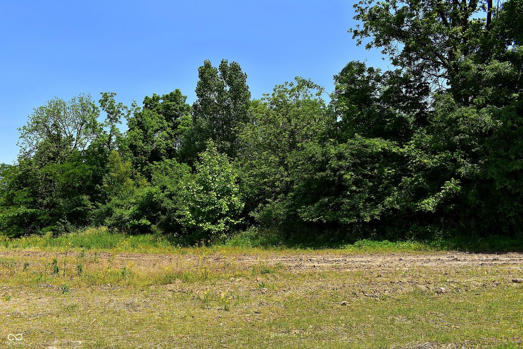 Picture 8