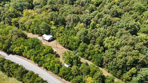 Wooded Land with Hunting Shack
