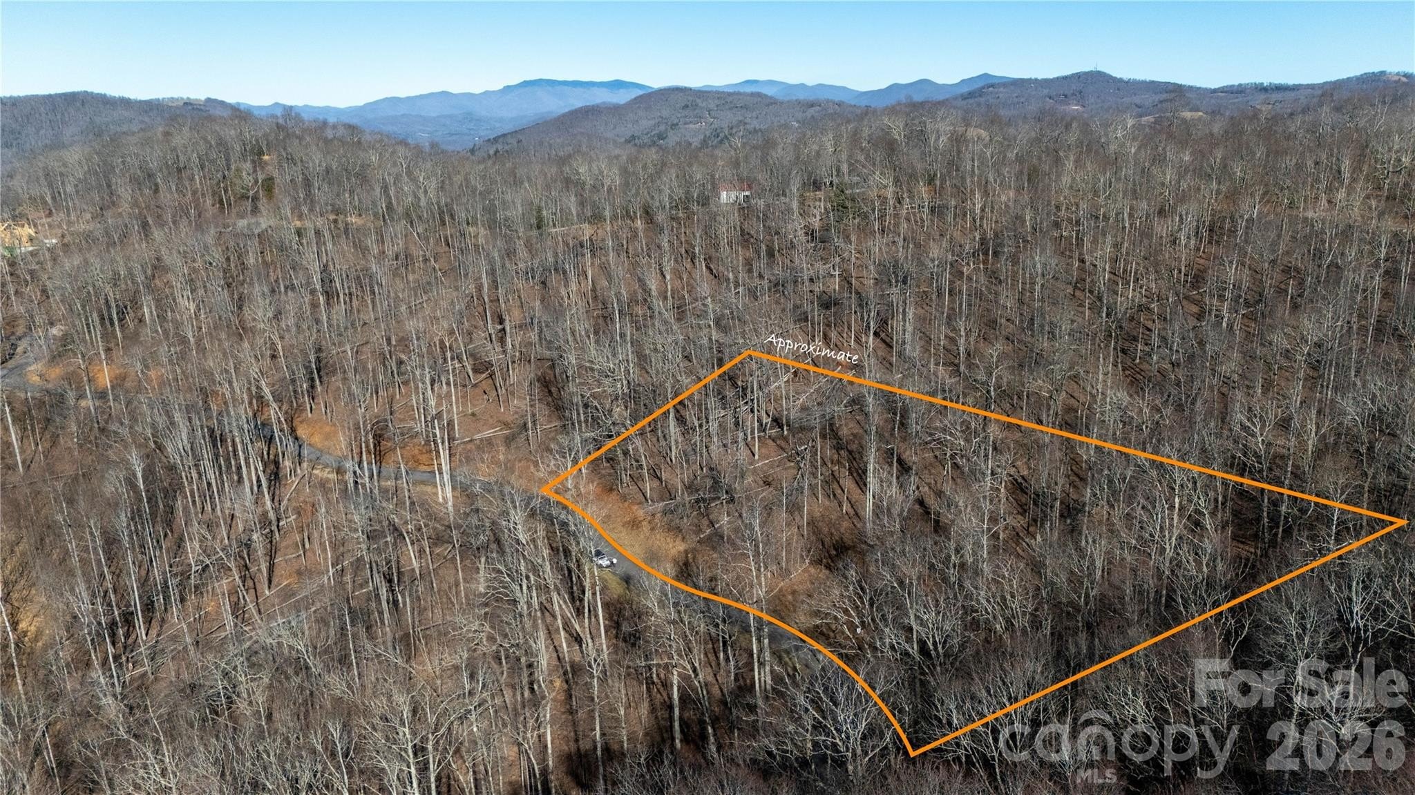 Spruce Pine Mountain Land