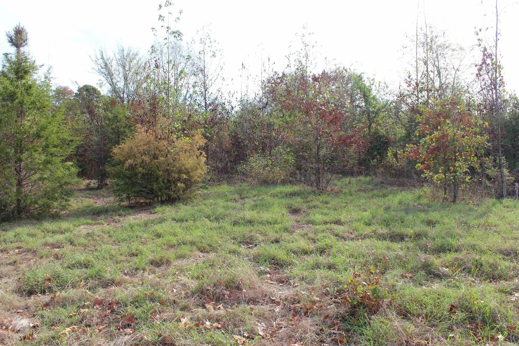 Picture 29