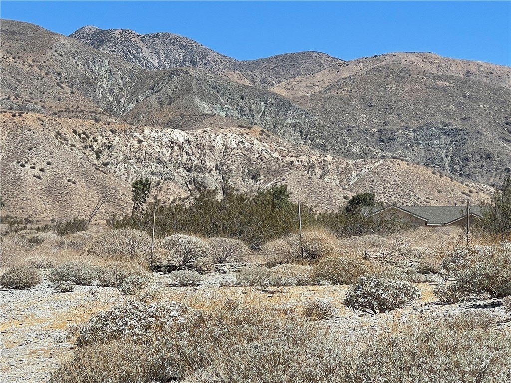 Picture 9